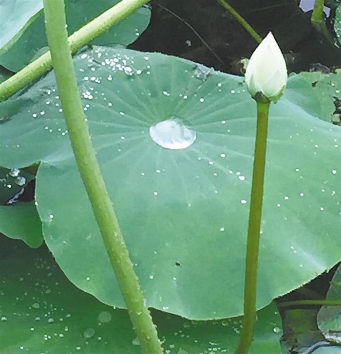 窗外的雨声