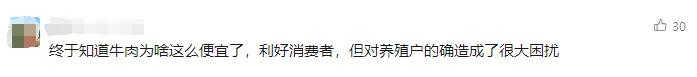 降至“1字头”！牛肉价格回到10年前？