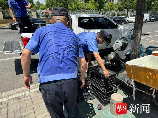 南京江宁秣陵街道：两部门三分队，齐抓共管一条心 ，倾情守护秣陵“洁、静、美”