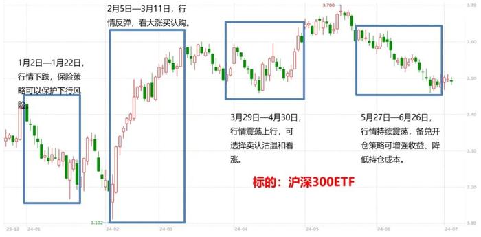 保险策略案例