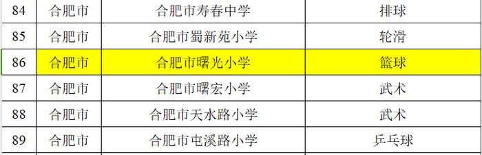 合肥市曙光小学荣获“安徽省体育特色传统学校”荣誉称号