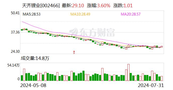 天齐锂业：SQM与CODELCO的《合伙协议》对天齐智利及SQM所有少数股东带来损害，复议申请未果后公司继续上诉