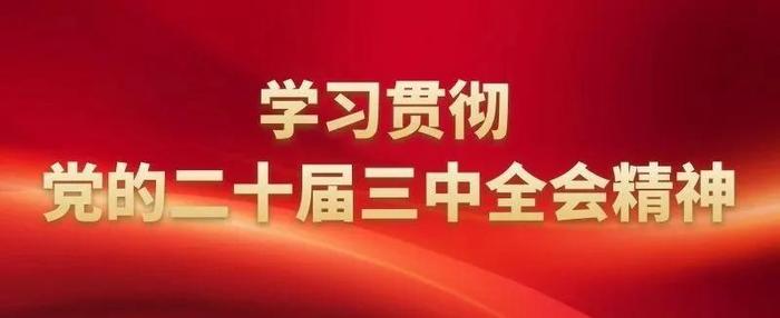 常德市各地各单位传达学习党的二十届三中全会精神