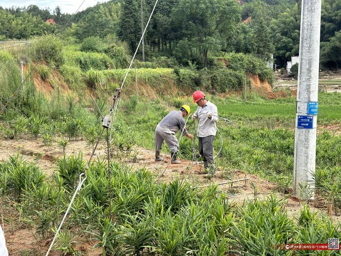 紧急抢修高压供电线路 确保电力供应逐步恢复