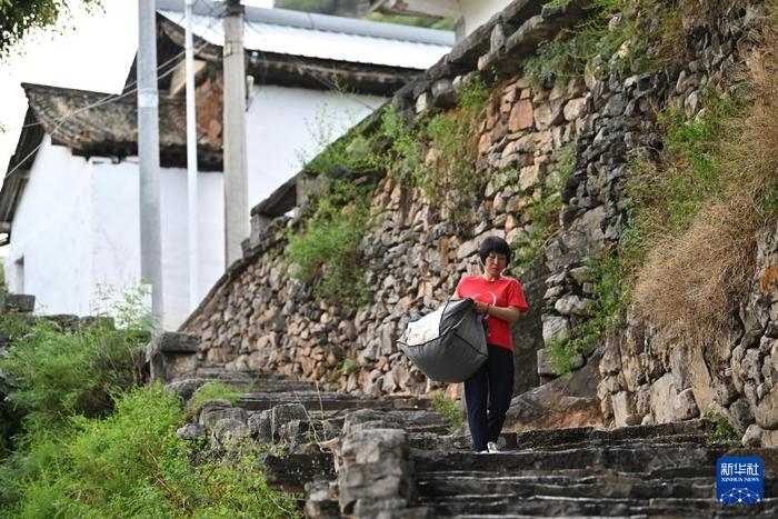 深山民宿主理人和她的2000亩谷子地