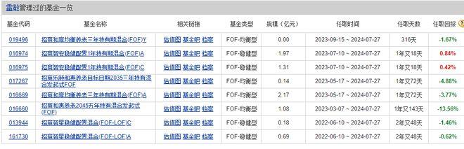 招商基金雷敏离任惹争议 五年持有期养老FOF仅管一年