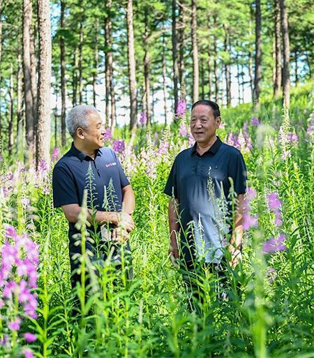 塞罕坝：美丽高岭变身“绿色引擎”