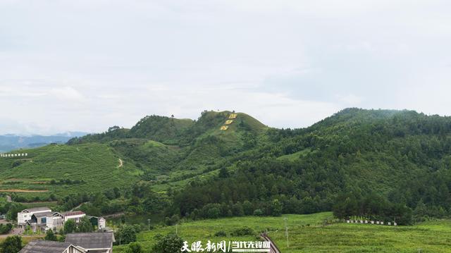 向新黔行④｜麻江：发展山地特色农业助力乡村振兴