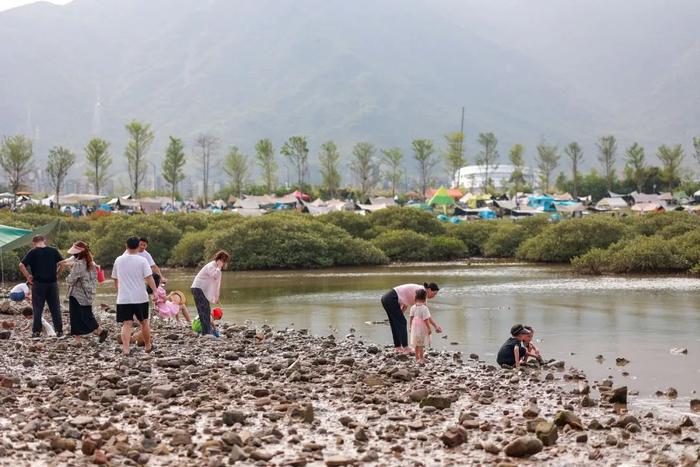 网友热议“到深圳前海湾抓青蟹”，专家呼吁→