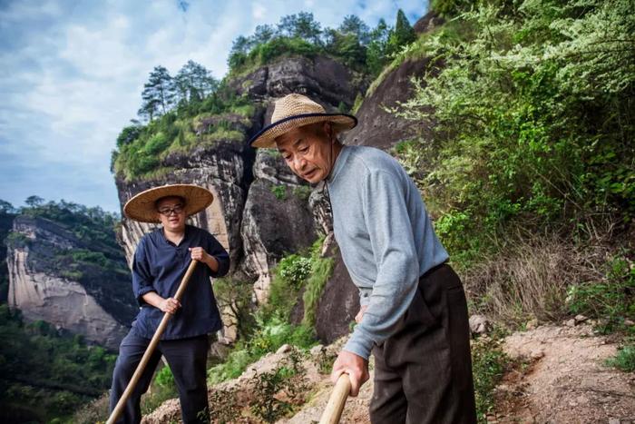 武夷山，茶人的理想世界？