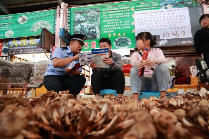 去云南木水花野生菌市场逛（gai），会有什么体验？