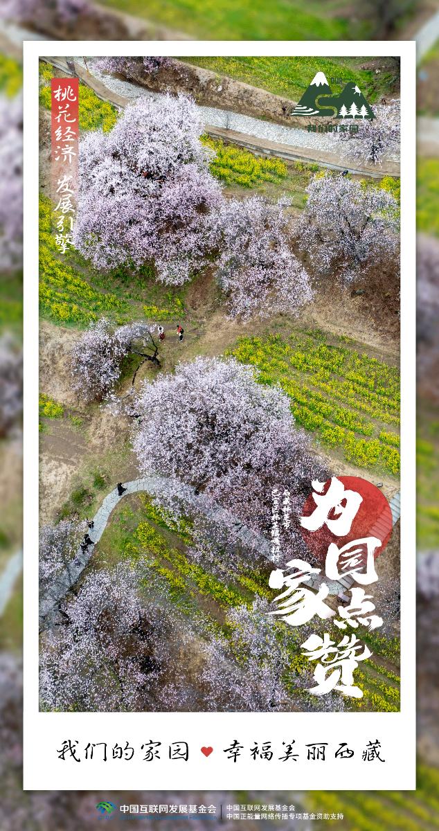 【我们的家园】海报组｜林芝嘎拉村：桃花源里好光景