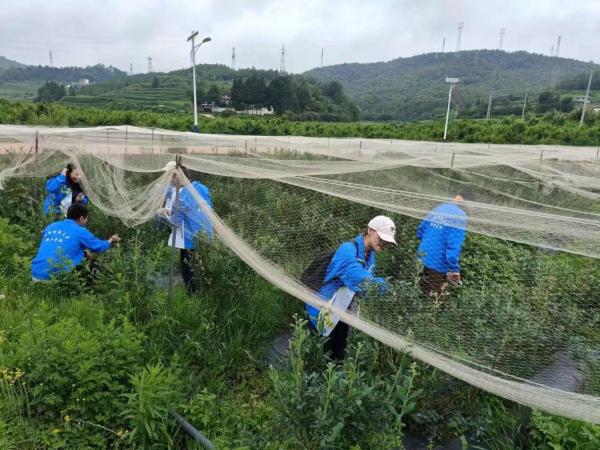 云南财经大学：用青春之力绘就“财经报国”新篇章