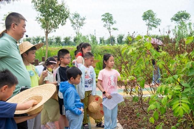 辨中药、识药性，“神农娃娃”寻味百草园