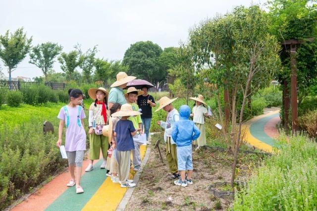 辨中药、识药性，“神农娃娃”寻味百草园