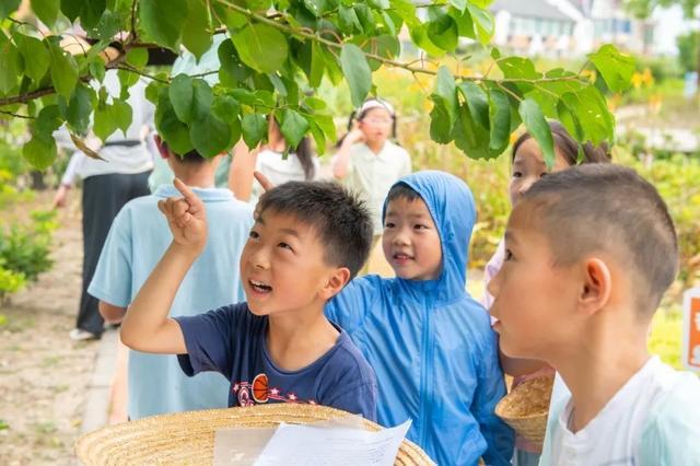 辨中药、识药性，“神农娃娃”寻味百草园