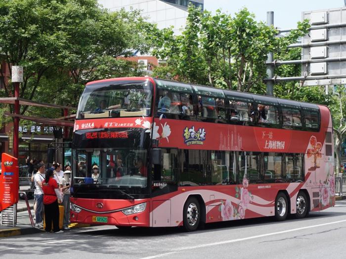 城市脉动，共绘多彩出行新图景