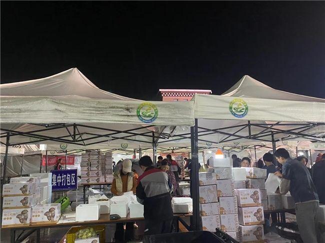 主汛期抢救7000+件松茸，顺丰迎战暴雨侵袭，保障四川松茸出深山