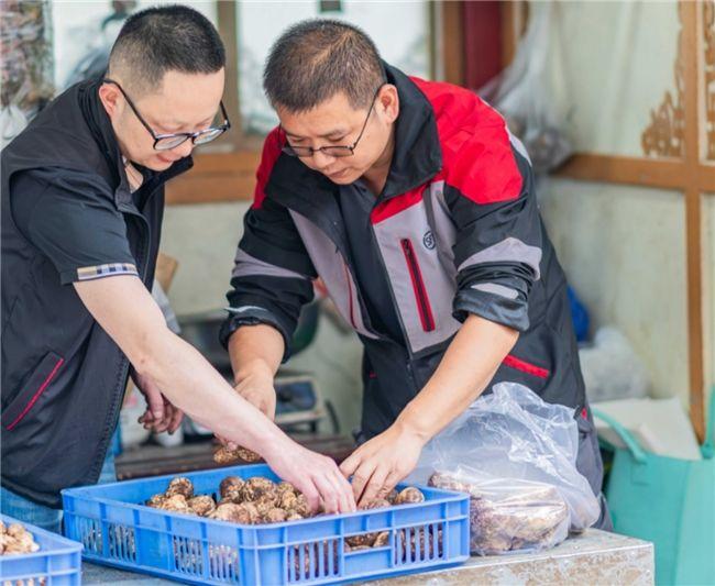 主汛期抢救7000+件松茸，顺丰迎战暴雨侵袭，保障四川松茸出深山