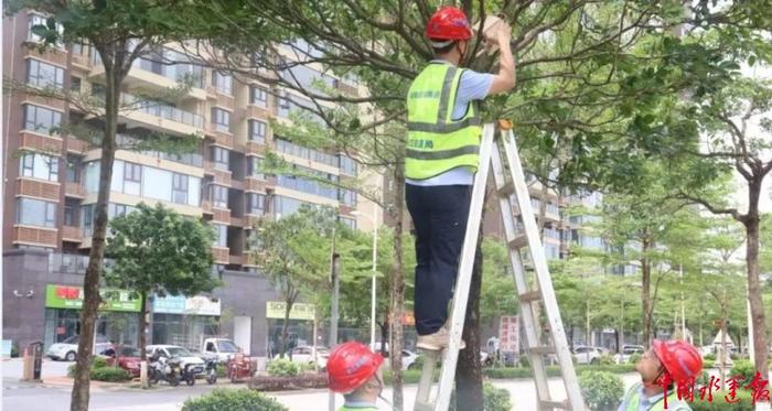 平陆运河上的绿色律动：看长江航道人如何绘就生态和谐新篇章