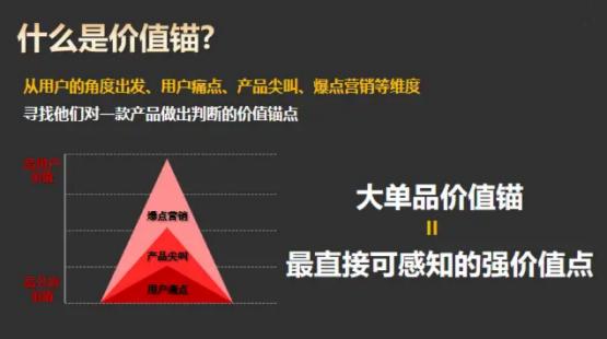 2023中国打造10-100亿级市场大单品战略营销咨询公司案例解析