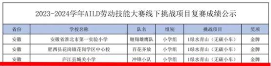 庐江县城关小学在全国青少年劳动技能与智能设计大赛安徽省复赛中喜获1金1铜