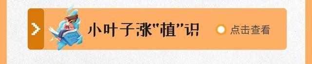 牢牢抓紧暑假的尾巴~来看8月有哪些活动 丨 科普月历