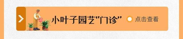 牢牢抓紧暑假的尾巴~来看8月有哪些活动 丨 科普月历