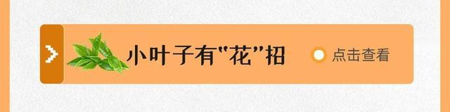 牢牢抓紧暑假的尾巴~来看8月有哪些活动 丨 科普月历