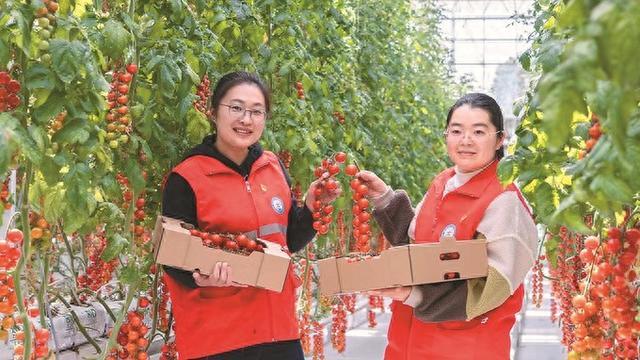 深读｜村级集体经济上扬靠什么来牵引？来自南通市通州区多个镇村的实践调查