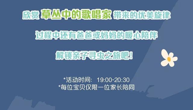 这夏“暑”你会玩！加入八月限定主题星愿公园探索队，开启夏夜探险记