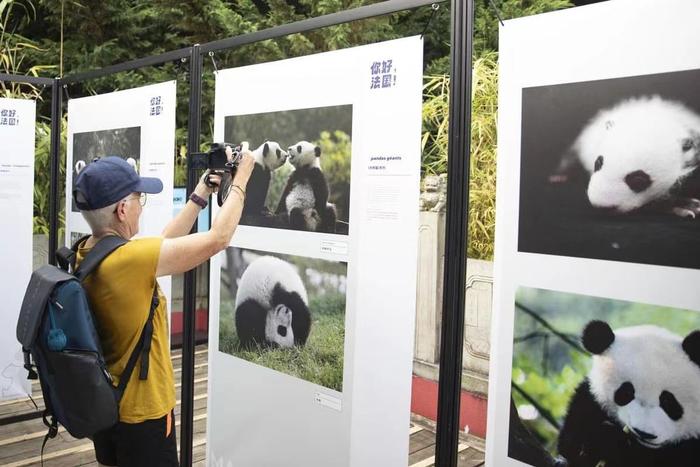 “熊猫连接世界”主题艺术展在法国举行 助力成都文创名片出海