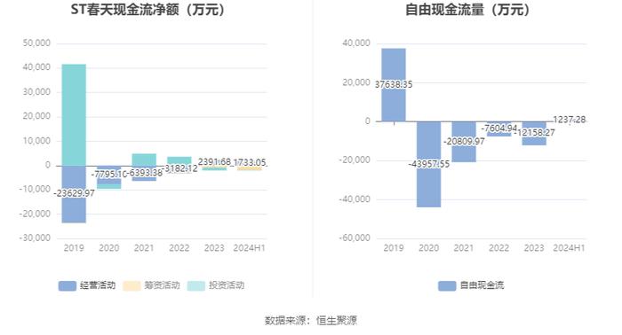 ST春天：2024年上半年营业总收入1.38亿元