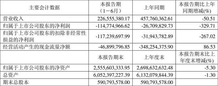 南威软件：2024年上半年亏损1.15亿元