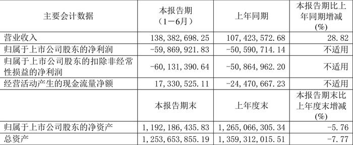 ST春天：2024年上半年营业总收入1.38亿元