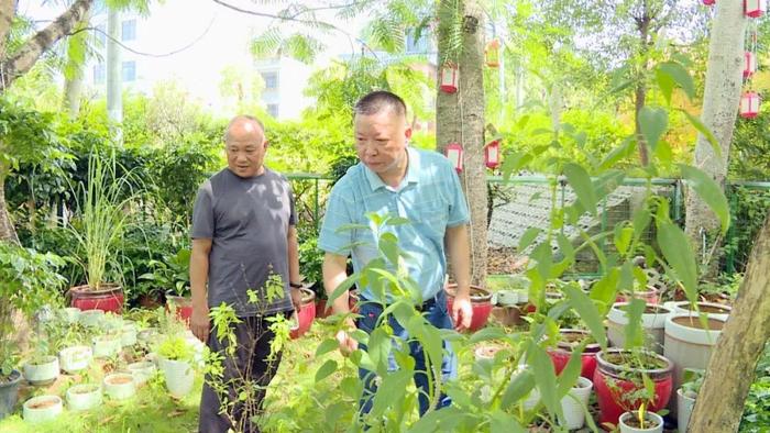 “百千万工程”看变化 | 我市乡村绿化种植树木72.6万株 完成年度计划187%