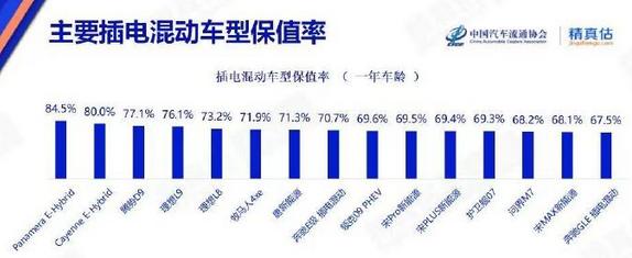 比亚迪赵长江：买腾势D9就像买劳力士