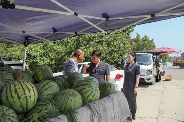 天黑了，执行法官王石磊说：“这车瓜卖给我吧！”