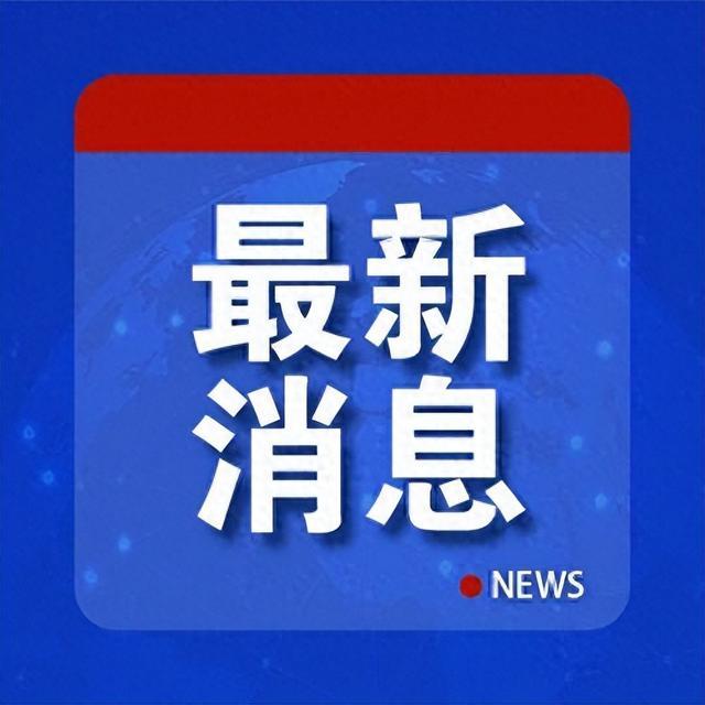 哈马斯消息人士：5名高官被暗杀