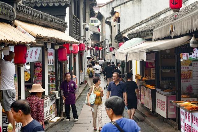 你们要的城市慢旅行推荐！嘉定这几条夏日骑行线路请收好