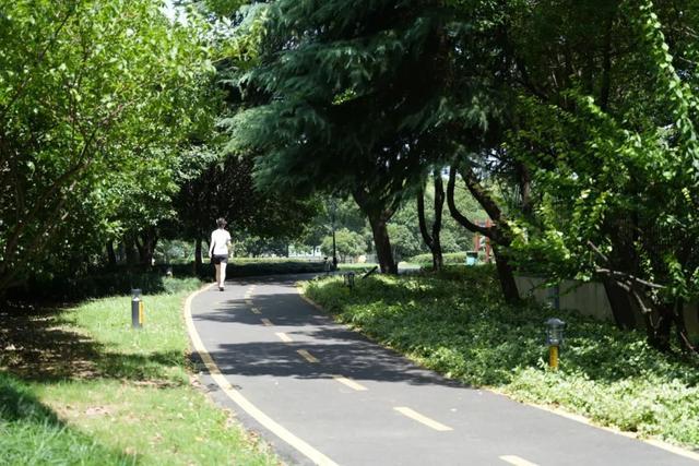 你们要的城市慢旅行推荐！嘉定这几条夏日骑行线路请收好