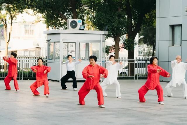 你们要的城市慢旅行推荐！嘉定这几条夏日骑行线路请收好