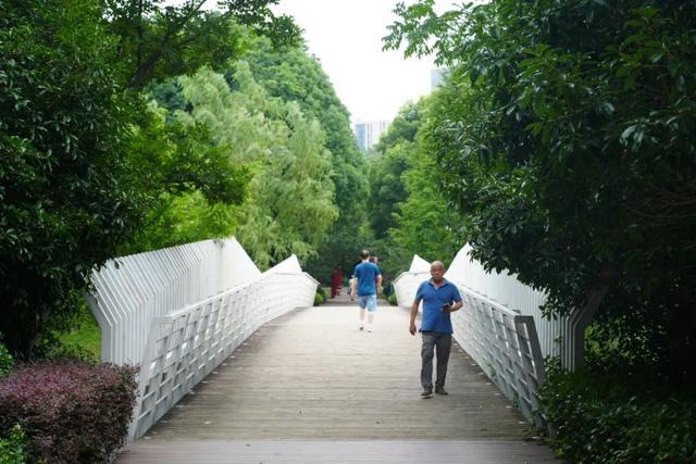 你们要的城市慢旅行推荐！嘉定这几条夏日骑行线路请收好