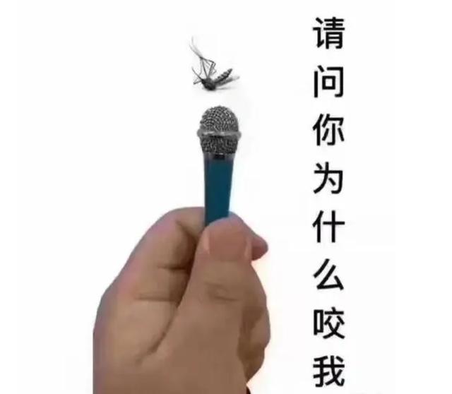 紧急提醒！多地确诊！被蚊子咬后，有这些症状千万警惕！“登革热”一旦中招，高烧剧痛被虐！