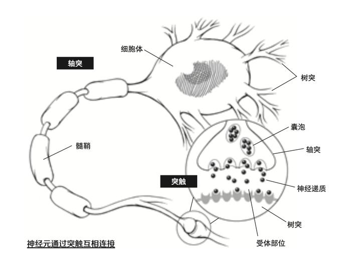 你最爱吃的生蚝，居然拯救过人类？