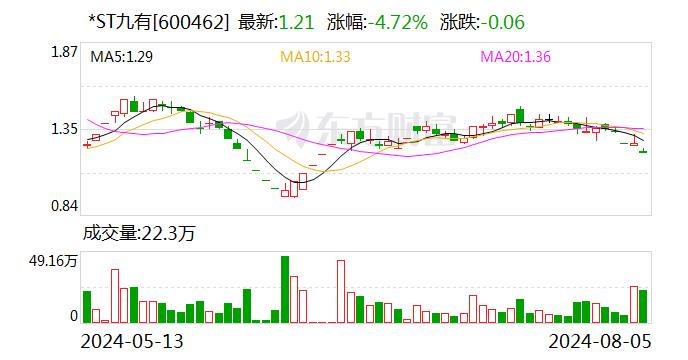 *ST 九有：控股孙公司房产被预查封