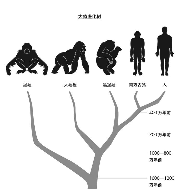 你最爱吃的生蚝，居然拯救过人类？