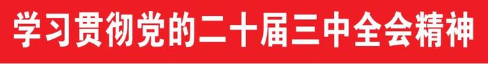 建设全国统一电力市场 拓宽新能源高质量发展之路