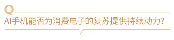 财通资管李晶：把握全球产业链共振和国产替代的机会