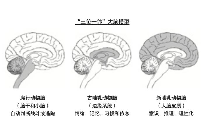 你最爱吃的生蚝，居然拯救过人类？